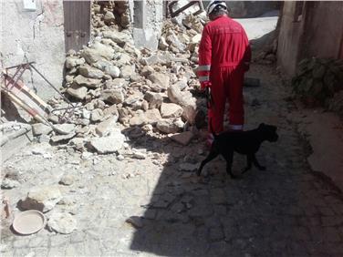 Am Freitag, 26. August, haben die Hundestaffeln ihre Trümmersuche in Amatrice (RI) abgeschlossen. Foto: LPA/ A. Bevölkerungsschutz