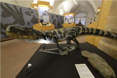 Die Ausstellung DinoMiti im Naturmuseum ist noch bis 18. September offen