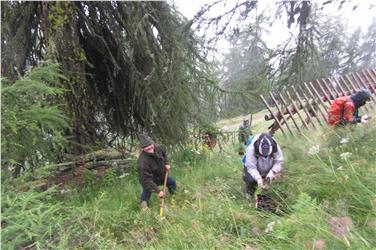 Im Forstinspektorat Schlanders werden bei den öffentlich zugänglichen Forsttagsatzungen zwischen dem 10. Jänner und dem 2. Februar Neuerungen im Wald- und Almbereich mitgeteilt. Foto: LPA/Forstinspektorat Schlanders