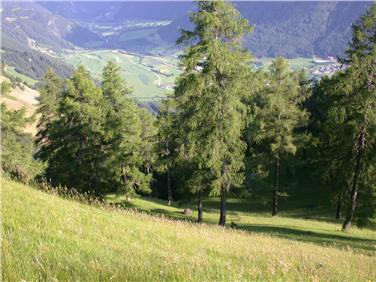 Raum und Landschaft: Integrierte Planung wird angestrebt