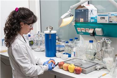 Im Projekt AppleCare arbeiten das Versuchszentrum Laimburg, die Abteilung Dermatologie des Krankenhauses Bozen, die Universität Innsbruck und die Medizinische Universität Innsbruck zusammen: Foto: LPA/ © Versuchszentrum Laimburg